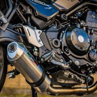 GPR pot echappement compatible avec  Kawasaki Z 650 RS 2021-2023, Satinox, Silencieux homologué pour bruit, échappement complet avec catalyseur et db killer 