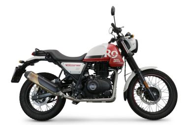 GPR pot echappement compatible avec  Royal Enfield Himalayan 410 Diam.36mm 2017-2020, Decatalizzatore, Suppresseur de cataliseu, décatalyseurr, article sans homologation 